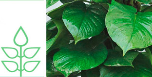 廠(chǎng)家直銷(xiāo)，質(zhì)優(yōu)價(jià)實(shí)